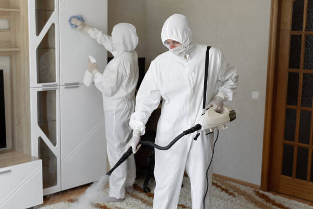 Best Commercial Mold Remediation in Siloam Springs, AR